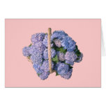 Hydrangea Basket Card