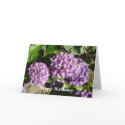 Hydrangea Birthday Greeting cards