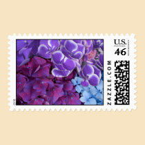 Hydrangea Blossoms postage by Spice Hydrangea Blossoms postage