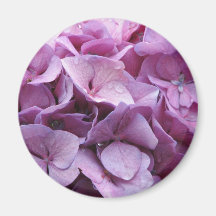 Hydrangea Blossoms Round Magnet