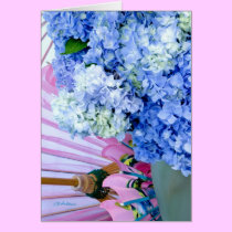Hydrangea blue pink cards