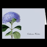 Hydrangea Botanical Greeting Card cards