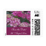 Hydrangea Burgundy Dream