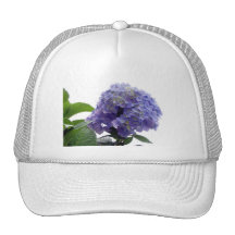 Hydrangea Bush Baseball Hat