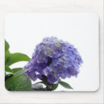 Hydrangea Bush Mouse Pad