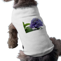 Hydrangea Bush Pet Shirt