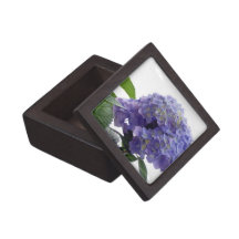Hydrangea Bush Premium Gift Box