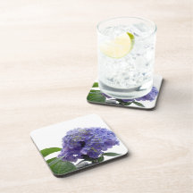 Hydrangea Bush Set of Coasters