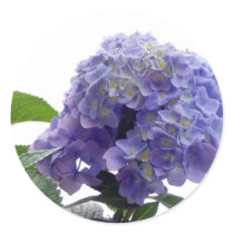 Hydrangea Bush Stickers stickers