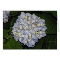 Hydrangea cards by princessklb07 Hydrangea cards