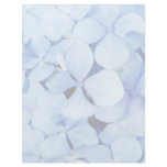 Hydrangea closeup flyer design