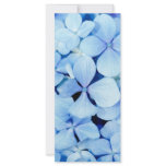 Hydrangea closeup rack card template