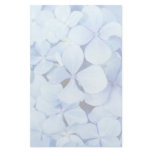 Hydrangea closeup stationery