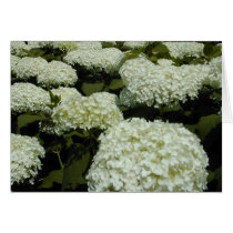 Hydrangea Field Card