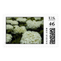 Hydrangea Field Stamp by flowingcreek Hydrangea Field Stamp