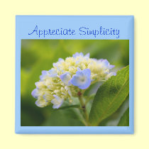 Hydrangea Flower Inspirational Simplicity Magnet magnets