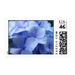Hydrangea Flowers Blue postage stamps Garden