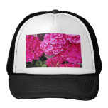 Hydrangea flowers hat