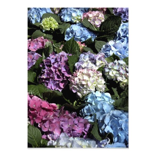 Hydrangea Frame Rehearsal Dinner Invitation