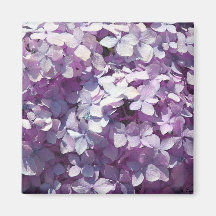 Hydrangea Fridge Magnets