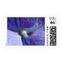 Hydrangea Garden And Wedding Postage Stamp by TDSwhite Hydrangea Garden And Wedding Postage Stamp