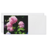 Hydrangea in Sunshine Rack Card Design