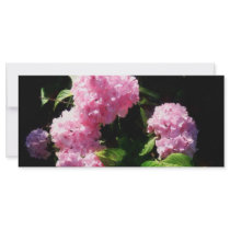 Hydrangea in Sunshine Rack Card
