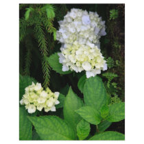Hydrangea in the forest flyers