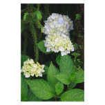 Hydrangea in the forest personalized stationery