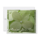 Hydrangea Invite