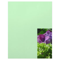 Hydrangea Custom Letterhead