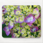 Hydrangea macro mousepad