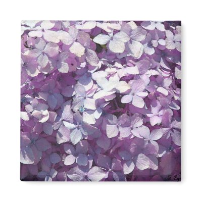Hydrangea Fridge Magnets by CyrScenes