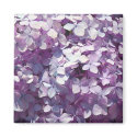 Hydrangea magnets by CyrScenes Hydrangea magnets