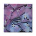 Hydrangea Magnet by gummagoo Hydrangea Magnet