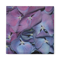 Hydrangea Magnet by gummagoo Hydrangea Magnet