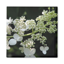 Hydrangea magnets by iiiyaaa Hydrangea magnets