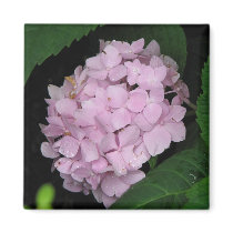 Hydrangea magnets by princessklb07 Hydrangea magnets