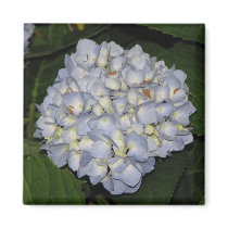 Hydrangea magnets by princessklb07 Hydrangea magnets