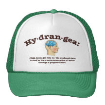 Hydrangea Mesh Hats