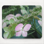 hydrangea mousepads