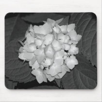 Hydrangea mousepads by princessklb07 Hydrangea mousepads