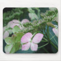 hydrangea mousepads