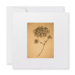 Hydrangea muted Invitation/card