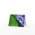 hydrangea notecard