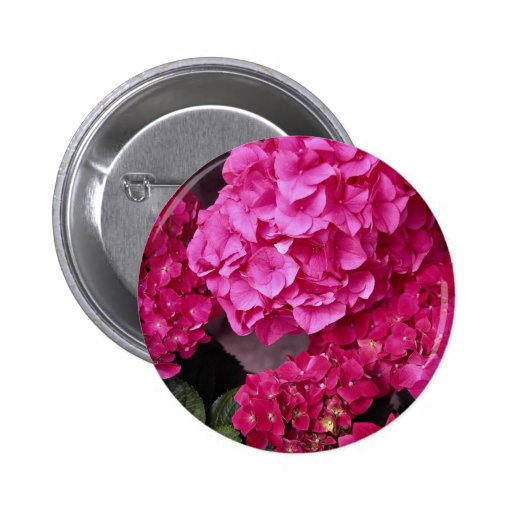 Hydrangea Pinback Buttons