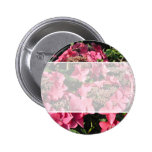 Hydrangea. Pink Flowers.