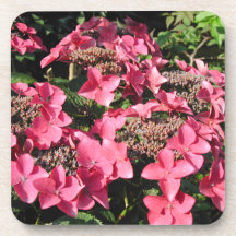 Hydrangea. Pink Flowers. Beverage Coasters