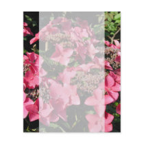 Hydrangea. Pink Flowers. Flyer Design