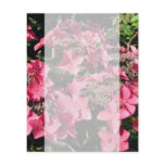 Hydrangea. Pink Flowers. Flyer Design